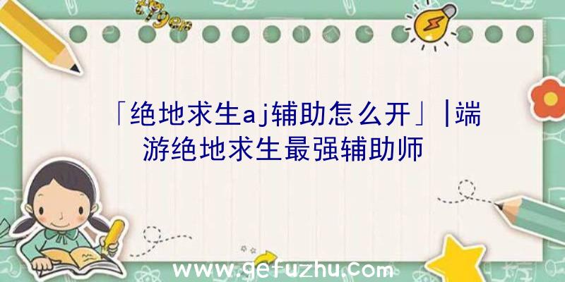 「绝地求生aj辅助怎么开」|端游绝地求生最强辅助师